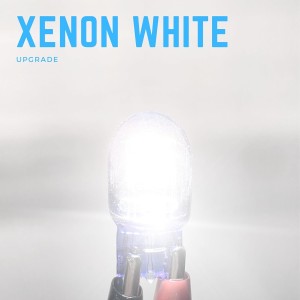 Argo 2 bombillas W21/5w de xenón blanco 6000k 12v