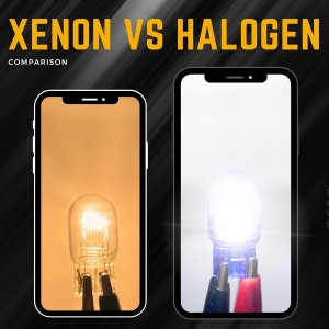 Argo 2 bombillas W21/5w de xenón blanco 6000k 12v