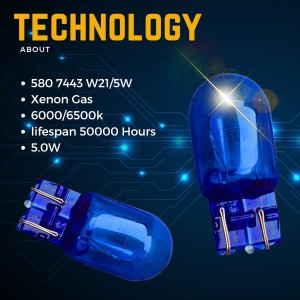 Argo 2 bombillas W21/5w de xenón blanco 6000k 12v