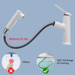 Grifo de Lavabo con Ducha Extraíble de 3 Modos