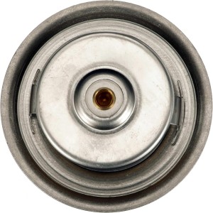 GATES Termostato TH01982G1