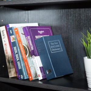 Amazon Basics Caja de seguridad en forma de libro