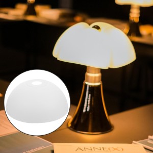 Pantallas De Lámpara De Plástico Para Techo Y Pare