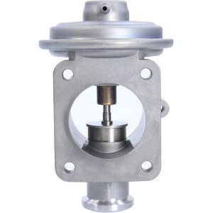 PIERBURG 7.00450.09.0 - Valvula EGR