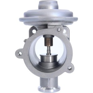 PIERBURG 7.00450.09.0 - Valvula EGR