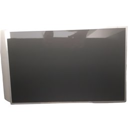 Pantalla portátil Au Optronics B170PW07 V.0