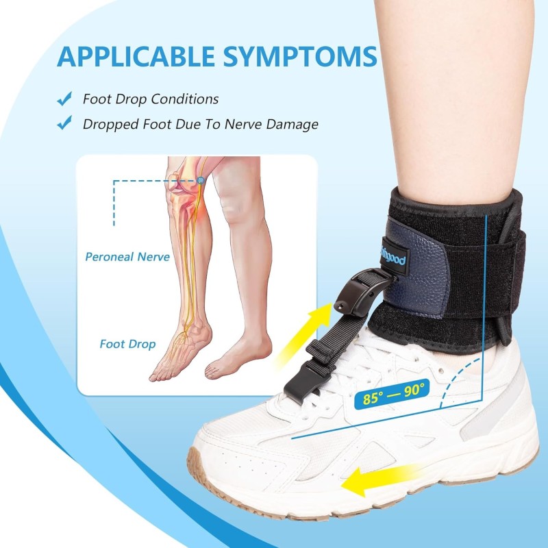 Soporte de Caída Pie para Caminar con Zapatos,Soporte Caido Pie Hacia arriba.(L/XL)