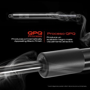 Frankberg 2x Amortiguadores de gas portón trasero Compatible con Clio II BB CB Todos los Motores