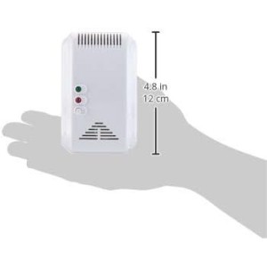 Beeper DET-GN101 Detector de Gases Naturales y Soporíferos