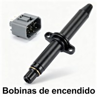 Bobinas de encendido