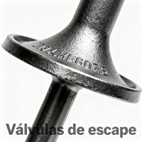 Válvulas de escape