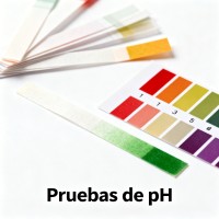 Pruebas de pH