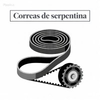 Correas de serpentina