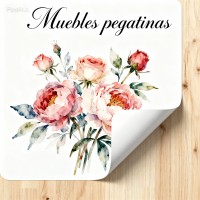 Muebles pegatinas