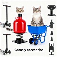 Gatos y accesorios