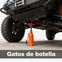 Gatos de botella