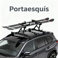 Portaesquís