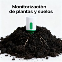 Monitorización de plantas y suelos