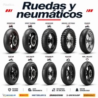 Ruedas y neumáticos