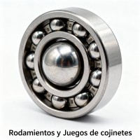 Rodamientos y Juegos de cojinetes