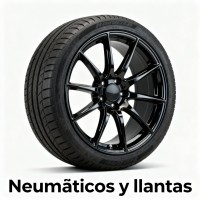 Neumáticos y llantas