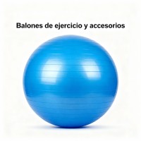 Balones de ejercicio y accesorios