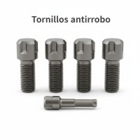 Tornillos antirrobo