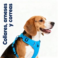 Collares, arneses y correas