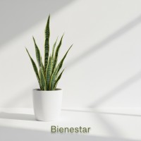 Bienestar